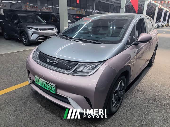BYD Dolphin 405km Fashion Edition - ავტომობილი ჩინეთიდან