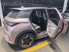 BYD Dolphin 405km Fashion Edition - ფოტო 4