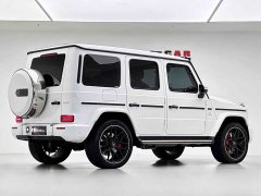 Mercedes-Benz Mercedes-AMG G 63 - фото 8