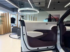 Zeekr X Four-Seat Rear-Drive Rubik's Cube Edition - фото 6