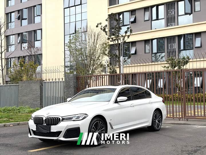 BMW 5 Series 530Li Premier M Sport Package - автомобиль из Китая
