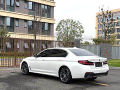 BMW 5 Series 530Li Premier M Sport Package - фото 14