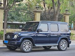 Mercedes-Benz G-Class G 350 - ფოტო 1