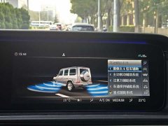 Mercedes-Benz G-Class G 350 - ფოტო 14