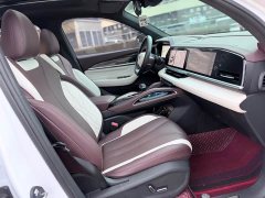Geely Xingyue L 2.0TD DCT EVO FWD Luxury - ფოტო 12