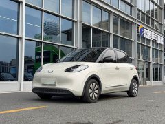 Wuling Binguo 203km Comfort Edition - ფოტო 1
