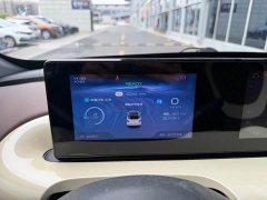Wuling Binguo 203km Comfort Edition - ფოტო 13