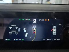 BYD Song Pro New Energy DM-i 301KM Feichi Edition Transcendence - ფოტო 14