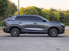 Dongfeng Fengshen L8 185KM Dream Edition - photo 10