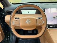 Dongfeng Fengshen L8 185KM Dream Edition - photo 18