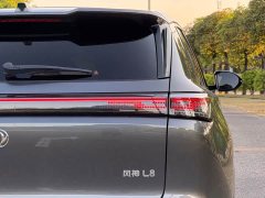 Dongfeng Fengshen L8 185KM Dream Edition - photo 9