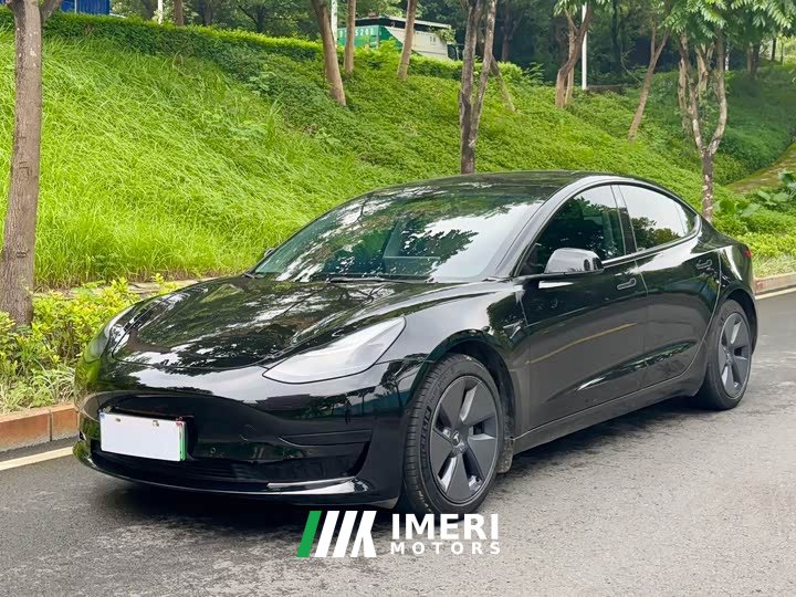 Tesla Model 3 Rear-Wheel Drive