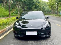 Tesla Model 3 Rear-Wheel Drive - ფოტო 2