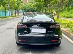 Tesla Model 3 Rear-Wheel Drive - ფოტო 9