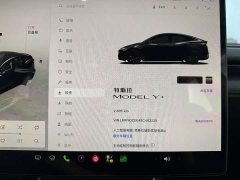 Tesla Model Y Facelift Long Range All-Wheel Drive - ფოტო 19