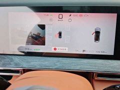BYD Daton Pure Electric 950KM RWD Lidar Flagship - фото 12