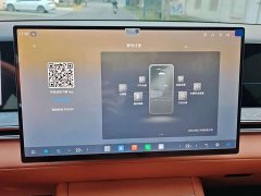 BYD Daton Pure Electric 950KM RWD Lidar Flagship - фото 14