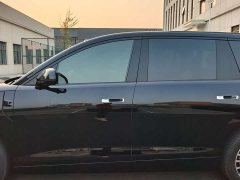 BYD Daton Pure Electric 950KM RWD Lidar Flagship - фото 19