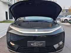 BYD Daton Pure Electric 950KM RWD Lidar Flagship - фото 2