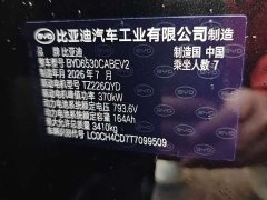 BYD Daton Pure Electric 950KM RWD Lidar Flagship - фото 6