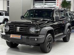 Tank 300 2.0T Gasoline Conqueror - ფოტო 1