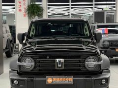 Tank 300 2.0T Gasoline Conqueror - ფოტო 2