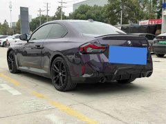 BMW 2 Series (Imported) 225i M Sport Night Edition - фото 9