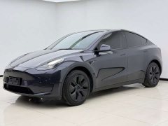 Tesla Model Y Rear-Wheel Drive - ფოტო 1