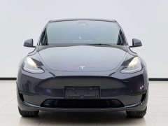 Tesla Model Y Rear-Wheel Drive - ფოტო 2