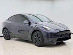 Tesla Model Y Rear-Wheel Drive - ფოტო 3