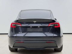 Tesla Model Y Rear-Wheel Drive - ფოტო 8