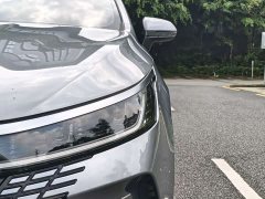 BYD Destroyer 05 Glory Edition DM-i 55KM Luxury - photo 11