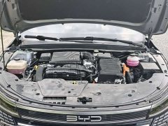 BYD Destroyer 05 Glory Edition DM-i 55KM Luxury - photo 12