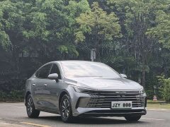 BYD Destroyer 05 Glory Edition DM-i 55KM Luxury - photo 3