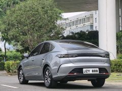 BYD Destroyer 05 Glory Edition DM-i 55KM Luxury - photo 5