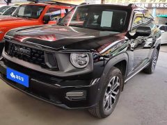 Haval Big Dog PLUS 2.0T Two-Wheel Drive Trendy Wilderness Edition - фото 1