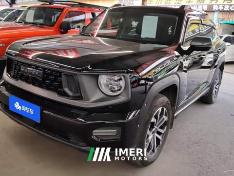 2024 Haval Dargo PLUS 2.0T Two-Wheel Drive Trendy Wilderness Edition