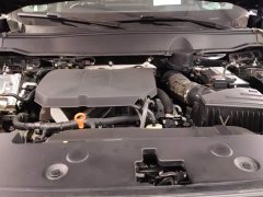 Haval Big Dog PLUS 2.0T Two-Wheel Drive Trendy Wilderness Edition - фото 10