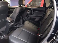 Haval Big Dog PLUS 2.0T Two-Wheel Drive Trendy Wilderness Edition - фото 11
