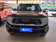 Haval Big Dog PLUS 2.0T Two-Wheel Drive Trendy Wilderness Edition - фото 2