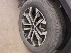 Haval Big Dog PLUS 2.0T Two-Wheel Drive Trendy Wilderness Edition - фото 6