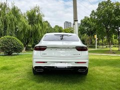 Geely Xingrui 2.0T Diesel Premium - ფოტო 5