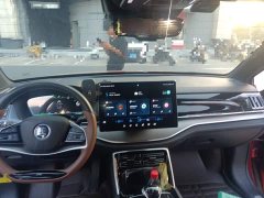 BYD Tang New Energy DM-i 112KM Premium Edition - фото 10