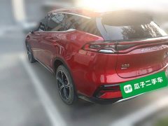BYD Tang New Energy DM-i 112KM Premium Edition - фото 4