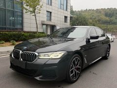 BMW 5 Series 530Li Luxury M Sport Package - фото 1