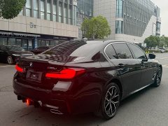 BMW 5 Series 530Li Luxury M Sport Package - фото 18