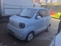 FAW Besturn Xiaoma 222km Shining Edition - ფოტო 1