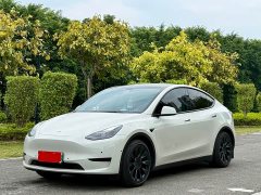 Tesla Model Y Rear-Wheel Drive - ფოტო 1