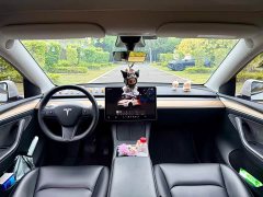 Tesla Model Y Rear-Wheel Drive - ფოტო 11