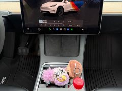 Tesla Model Y Rear-Wheel Drive - ფოტო 12